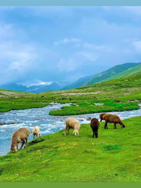 Gulmarg